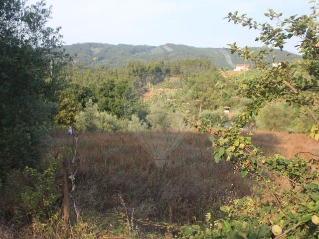 Terreno à venda em Coimbra