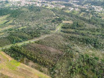 Terreno à venda em Coimbra