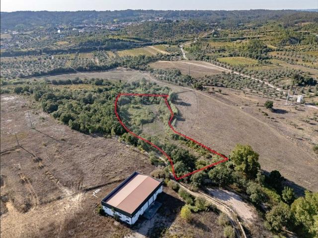 Terreno à venda em Coimbra
