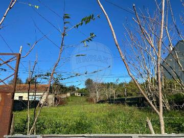Terreno à venda em Coimbra
