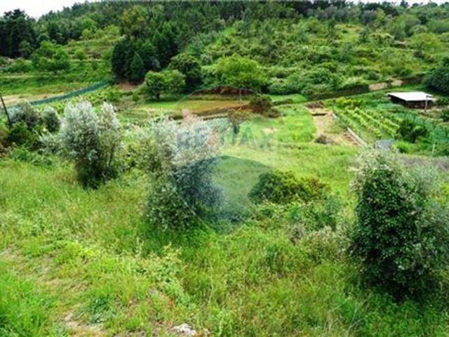 Terreno à venda em Coimbra