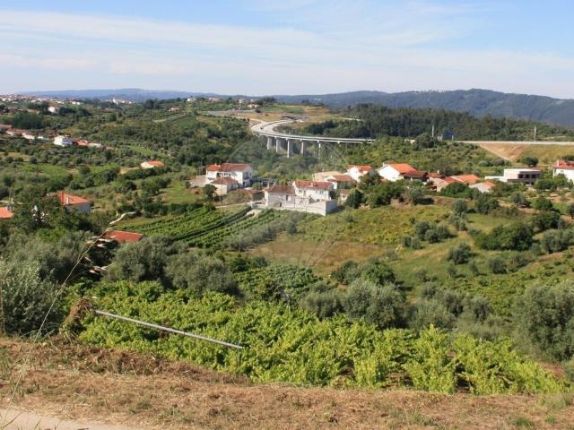 Terreno à venda em Coimbra