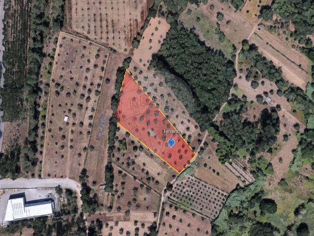Terreno à venda em Antuzede e Vil de Matos, Coimbra RE/MAX Portugal