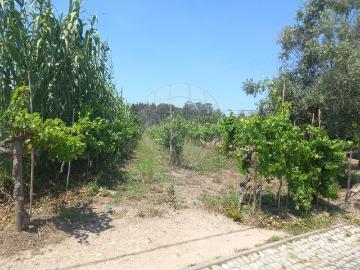 Terreno à venda em Coimbra