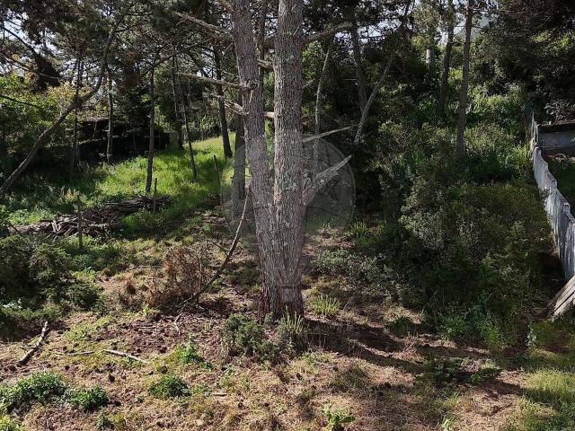 Terreno à venda em Colares, Sintra RE/MAX Portugal