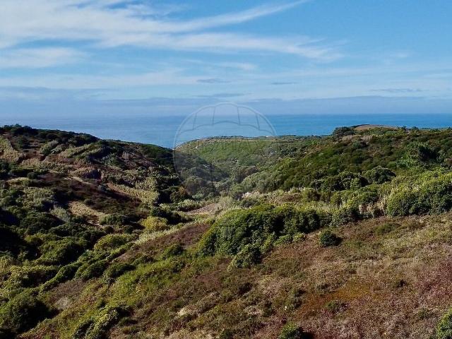 Terreno à venda em Colares, Sintra RE/MAX Portugal