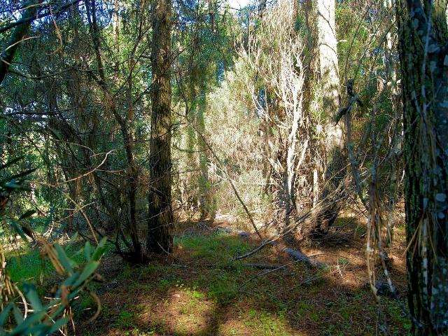 Terreno à venda em Colares, Sintra RE/MAX Portugal
