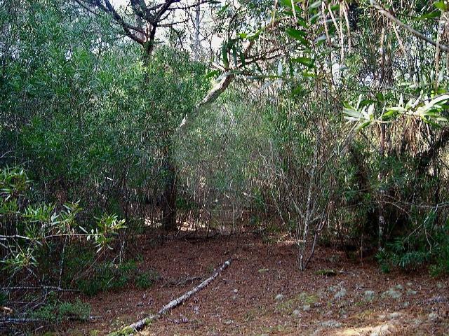 Terreno à venda em Colares, Sintra RE/MAX Portugal