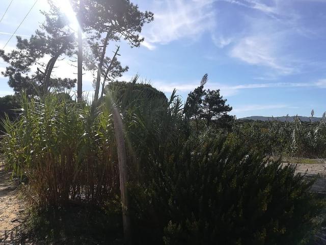 Terreno à venda em Colares, Sintra RE/MAX Portugal