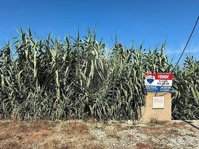 Terreno à venda em Colares, Sintra RE/MAX Portugal