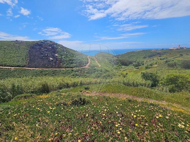 Terreno à venda em Colares, Sintra RE/MAX Portugal