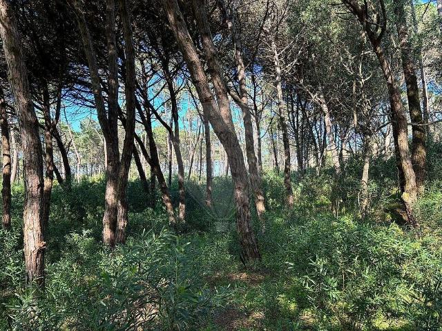 Terreno à venda em Colares, Sintra RE/MAX Portugal