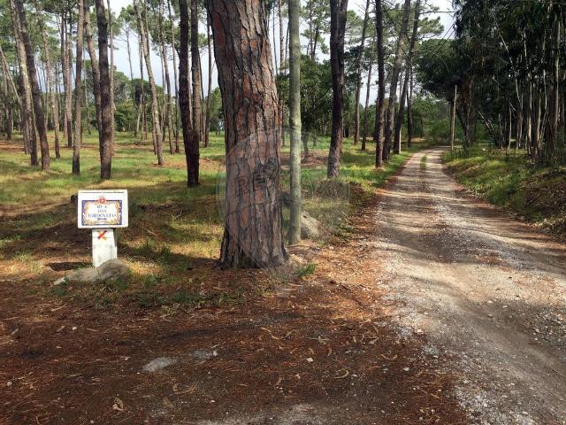 Terreno à venda em Colares, Sintra RE/MAX Portugal