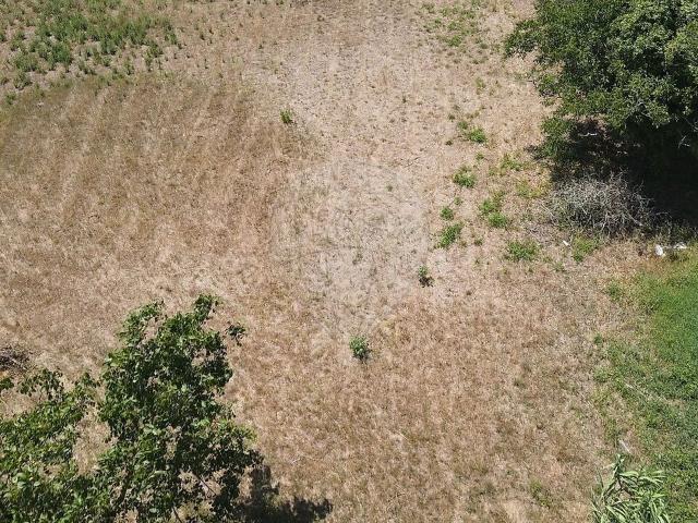 Terreno à venda em Condeixa a Velha e Condeixa a Nova, Condeixa a Nova RE/MAX Portugal