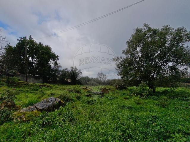 Terreno à venda em Condeixa a Velha e Condeixa a Nova, Condeixa a Nova RE/MAX Portugal