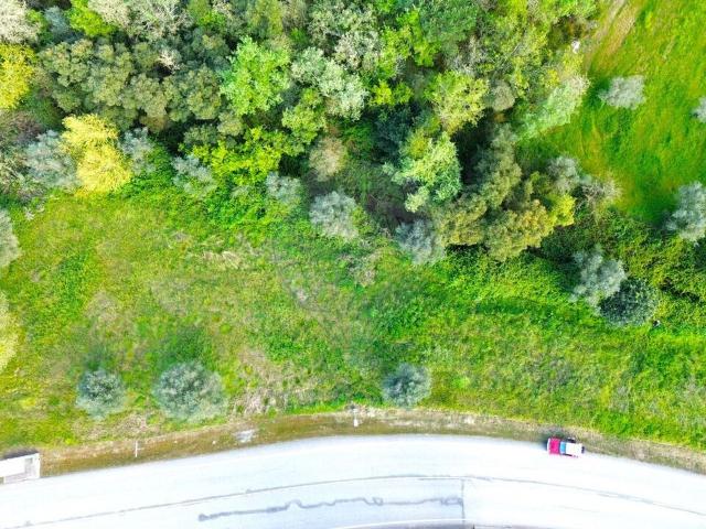 Terreno à venda em Condeixa a Nova