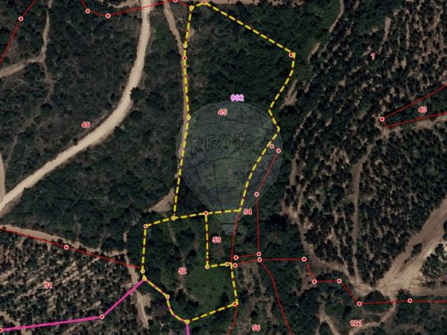 Terreno à venda em Constância