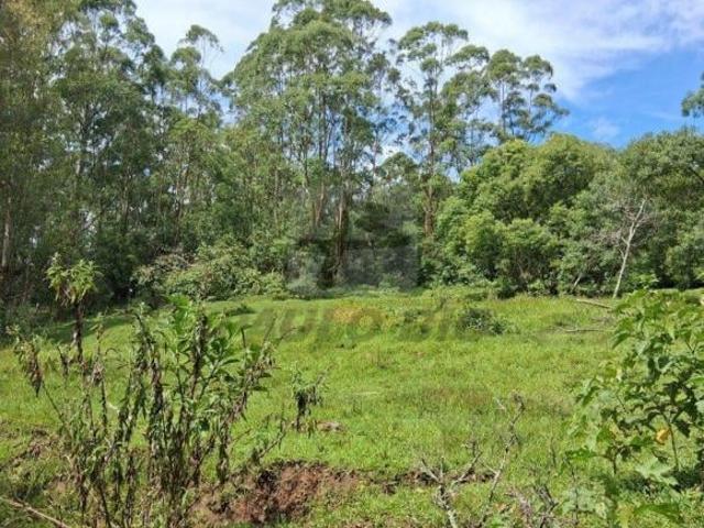 Terreno à venda em Cooperativa