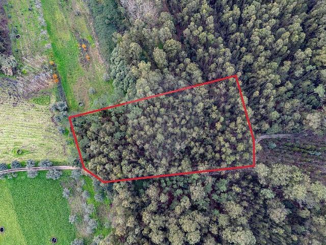Terreno à venda em Cordinhã, Cantanhede RE/MAX Portugal