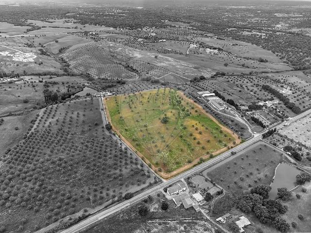 Terreno à venda em Cortiçadas de Lavre e Lavre, Montemor o Novo RE/MAX Portugal
