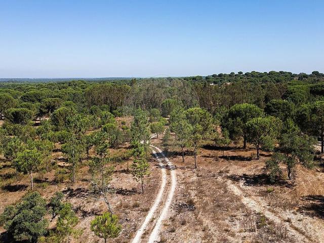 Terreno à venda em Cortiçadas de Lavre e Lavre, Montemor o Novo RE/MAX Portugal