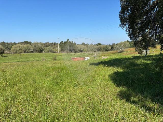 Terreno à venda em Coruche