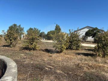 Terreno à venda em Coruche