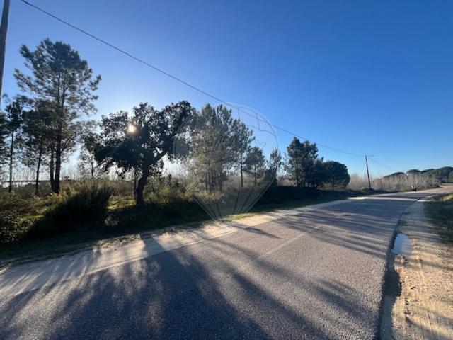 Terreno à venda em Coruche