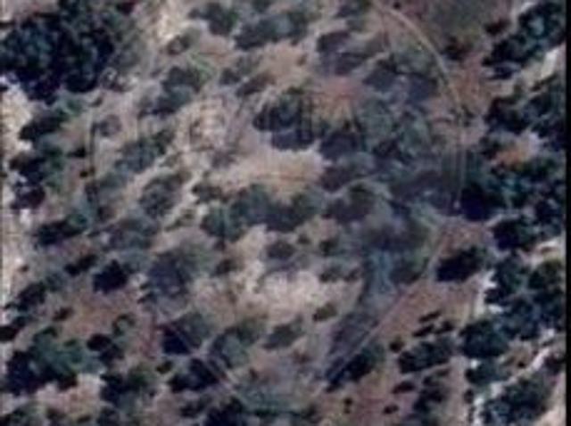 Terreno à venda em Coruche, Fajarda e Erra, Coruche RE/MAX Portugal