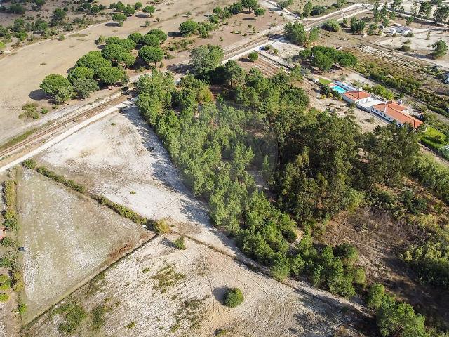 Terreno à venda em Coruche, Fajarda e Erra, Coruche RE/MAX Portugal