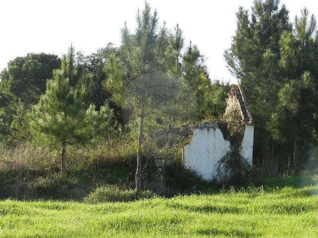 Terreno à venda em Coruche, Fajarda e Erra, Coruche RE/MAX Portugal