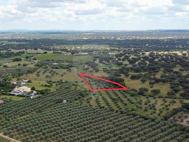 Terreno à venda em Corval, Reguengos de Monsaraz RE/MAX Portugal