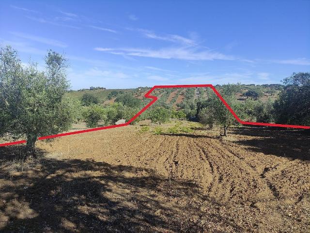 Terreno à venda em Corval, Reguengos de Monsaraz RE/MAX Portugal