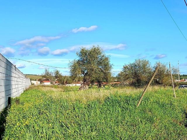 Terreno à venda em Corval, Reguengos de Monsaraz RE/MAX Portugal