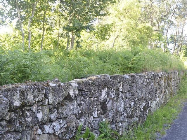 Terreno à venda em Cossourado e Linhares, Paredes de Coura RE/MAX Portugal
