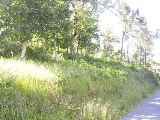 Terreno à venda em Cossourado e Linhares, Paredes de Coura RE/MAX Portugal