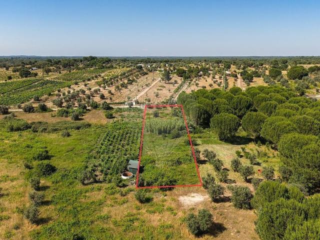 Terreno à venda em Cabeção, Mora RE/MAX Portugal