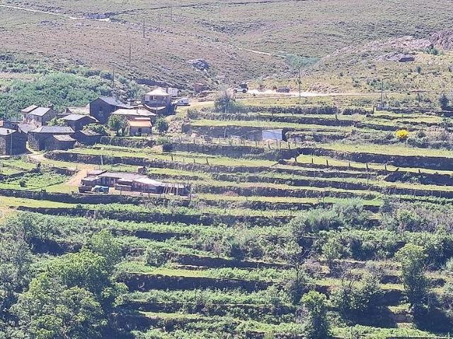 Terreno à venda em Cabreiros e Albergaria da Serra, Arouca RE/MAX Portugal
