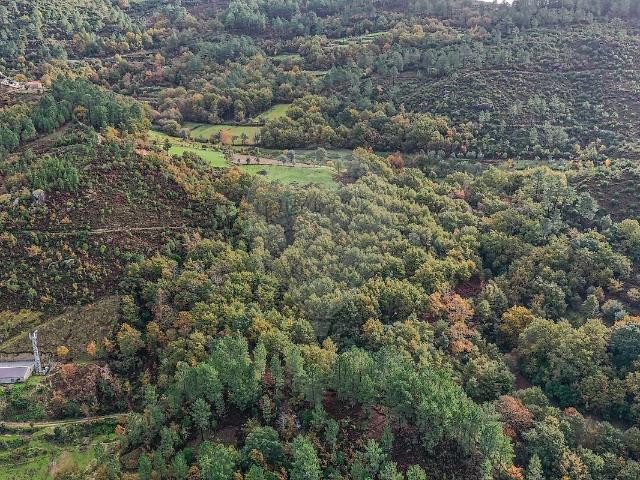 Terreno à venda em Cabril, Montalegre RE/MAX Portugal