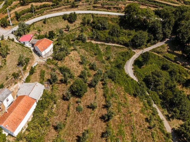 Terreno à venda em Cabril, Castro Daire RE/MAX Portugal