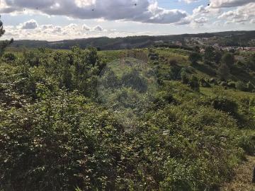 Terreno à venda em Cadaval