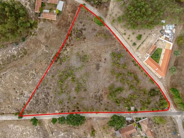 Terreno à venda em Cadima, Cantanhede RE/MAX Portugal