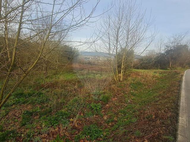 Terreno à venda em Caldelas, Sequeiros e Paranhos, Amares RE/MAX Portugal