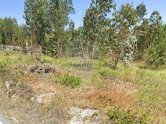 Terreno à venda em Calvaria de Cima, Porto de Mós RE/MAX Portugal