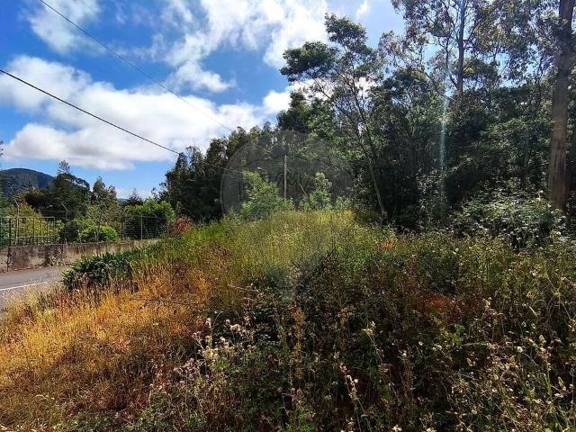 Terreno à venda em Camacha, Santa Cruz RE/MAX Portugal