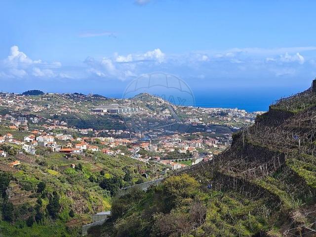 Terreno à venda em Câmara de Lobos, Câmara de Lobos RE/MAX Portugal