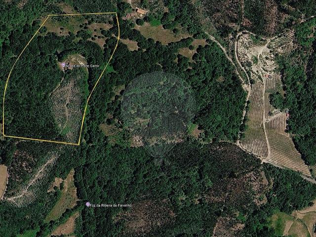 Terreno à venda em Cambra e Carvalhal de Vermilhas, Vouzela RE/MAX Portugal