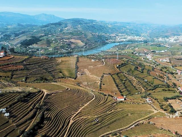 Terreno à venda em Cambres, Lamego RE/MAX Portugal