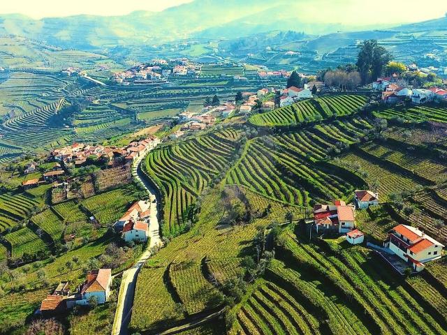 Terreno à venda em Cambres, Lamego RE/MAX Portugal