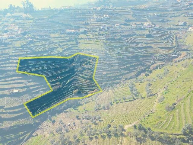 Terreno à venda em Cambres, Lamego RE/MAX Portugal